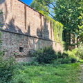 IMG 3892